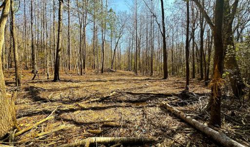 Photo #52 of Lot-2, Off Campbell Road, Bear Creek, NC 13.3 acres