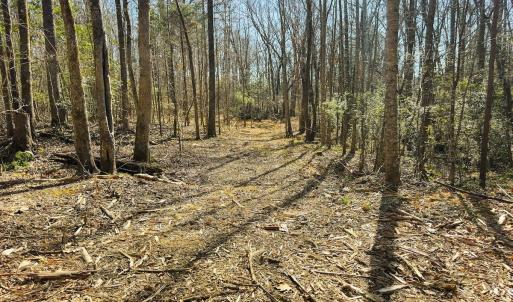 Photo #53 of Lot-2, Off Campbell Road, Bear Creek, NC 13.3 acres