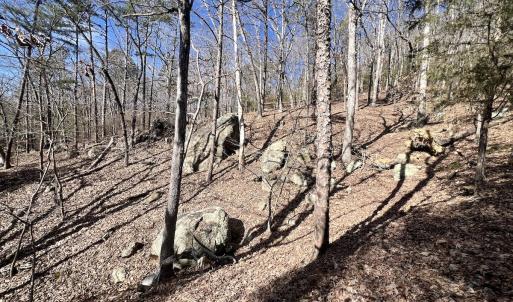 Photo #12 of 551 Boulder Ridge Dr, Denton, NC 1.5 acres