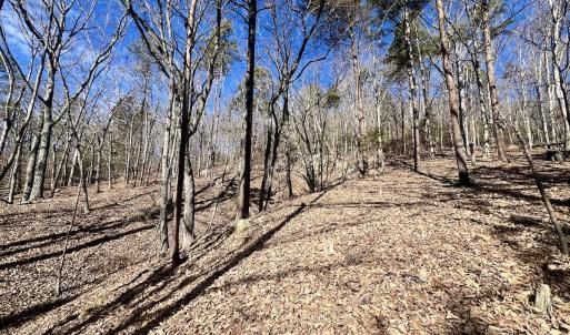 Photo #14 of 551 Boulder Ridge Dr, Denton, NC 1.5 acres