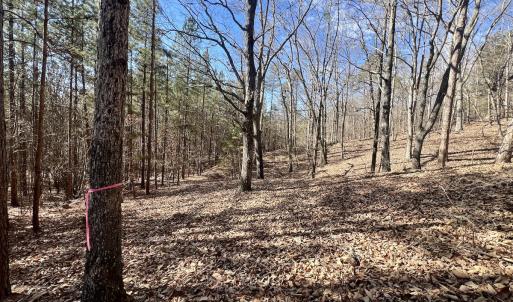 Photo #16 of 551 Boulder Ridge Dr, Denton, NC 1.5 acres