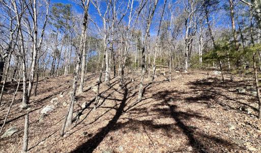 Photo #18 of 551 Boulder Ridge Dr, Denton, NC 1.5 acres