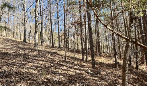 Photo #19 of 551 Boulder Ridge Dr, Denton, NC 1.5 acres