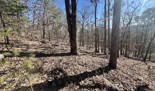 Photo #20 of 551 Boulder Ridge Dr, Denton, NC 1.5 acres