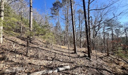 Photo #22 of 551 Boulder Ridge Dr, Denton, NC 1.5 acres