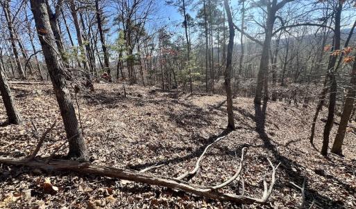 Photo #3 of 551 Boulder Ridge Dr, Denton, NC 1.5 acres
