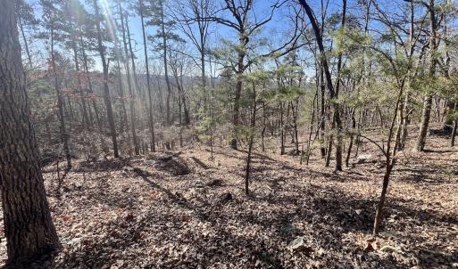 Photo #23 of 551 Boulder Ridge Dr, Denton, NC 1.5 acres