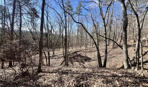Photo #24 of 551 Boulder Ridge Dr, Denton, NC 1.5 acres