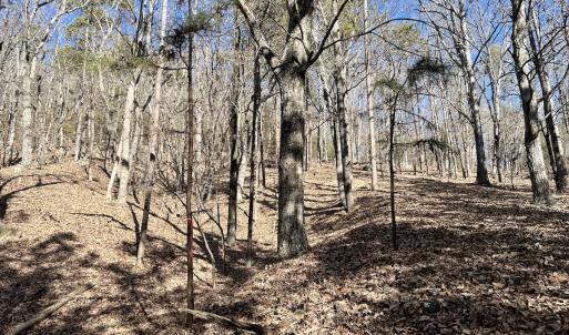 Photo #29 of 551 Boulder Ridge Dr, Denton, NC 1.5 acres