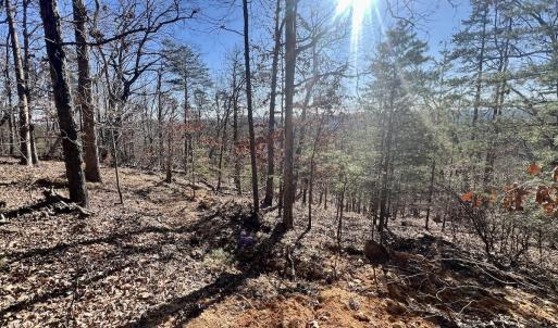 Photo #30 of 551 Boulder Ridge Dr, Denton, NC 1.5 acres