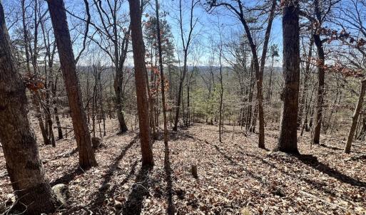 Photo #4 of 551 Boulder Ridge Dr, Denton, NC 1.5 acres
