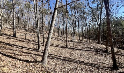Photo #6 of 551 Boulder Ridge Dr, Denton, NC 1.5 acres