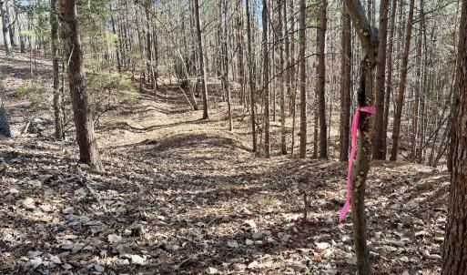 Photo #7 of 551 Boulder Ridge Dr, Denton, NC 1.5 acres