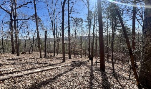 Photo #8 of 551 Boulder Ridge Dr, Denton, NC 1.5 acres