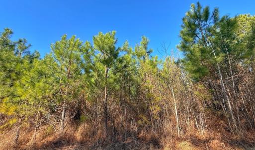 Photo #21 of 125 Tarheel Rd, Windsor, NC 0.5 acres