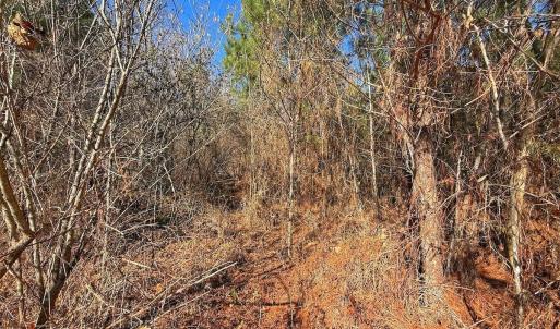 Photo #23 of 125 Tarheel Rd, Windsor, NC 0.5 acres
