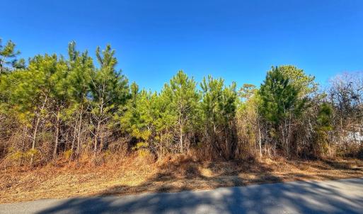 Photo #24 of 125 Tarheel Rd, Windsor, NC 0.5 acres