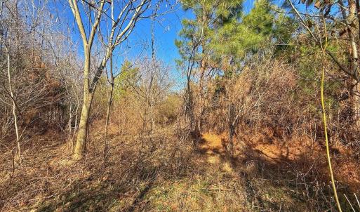 Photo #26 of 125 Tarheel Rd, Windsor, NC 0.5 acres