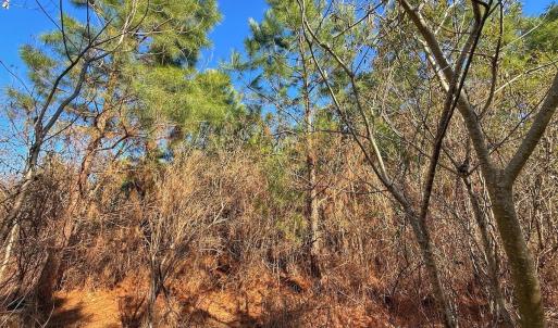 Photo #28 of 125 Tarheel Rd, Windsor, NC 0.5 acres