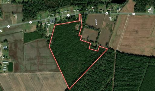 Photo #66 of Off Highway 41, Trenton, NC 50.7 acres
