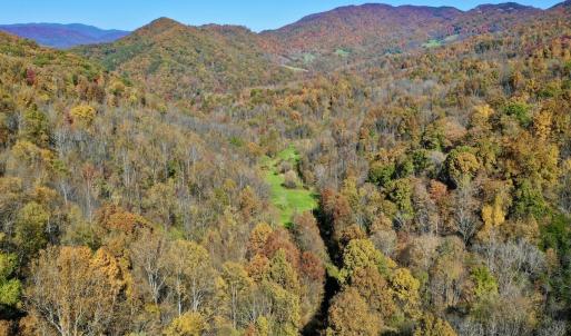 Photo #2 of Off White Rock Gap Rd, Covington, VA 302.9 acres