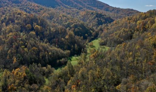 Photo #15 of Off White Rock Gap Rd, Covington, VA 302.9 acres