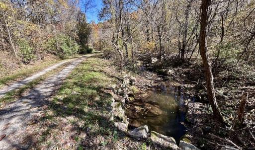 Photo #17 of Off White Rock Gap Rd, Covington, VA 302.9 acres