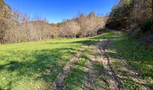 Photo #19 of Off White Rock Gap Rd, Covington, VA 302.9 acres