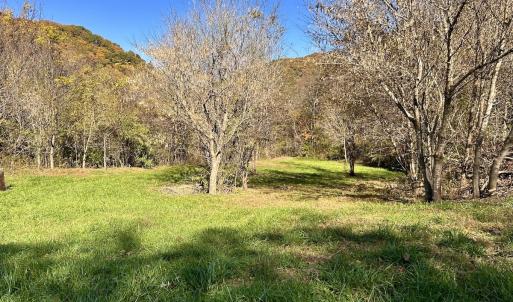 Photo #20 of Off White Rock Gap Rd, Covington, VA 302.9 acres