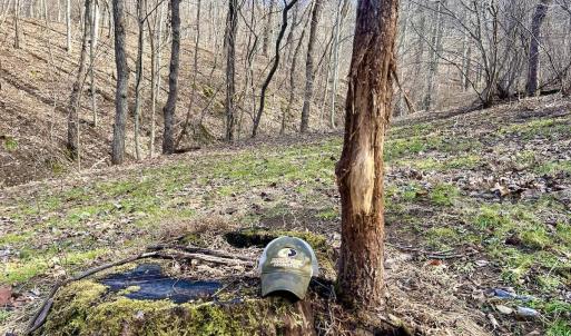 Photo #21 of Off White Rock Gap Rd, Covington, VA 302.9 acres