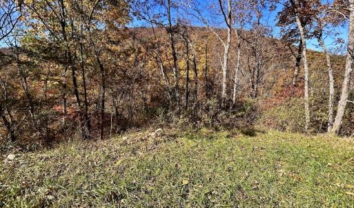 Photo #24 of Off White Rock Gap Rd, Covington, VA 302.9 acres