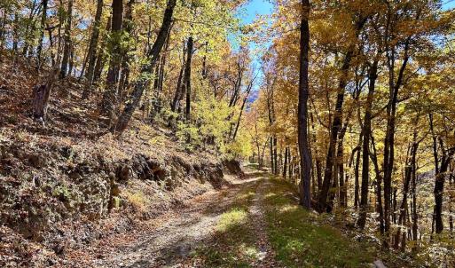 Photo #25 of Off White Rock Gap Rd, Covington, VA 302.9 acres