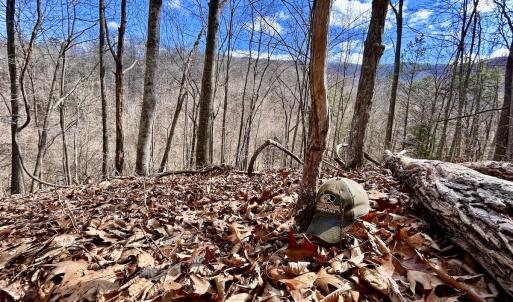 Photo #26 of Off White Rock Gap Rd, Covington, VA 302.9 acres