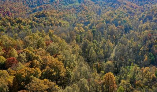 Photo #28 of Off White Rock Gap Rd, Covington, VA 302.9 acres