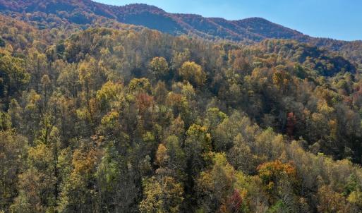 Photo #29 of Off White Rock Gap Rd, Covington, VA 302.9 acres