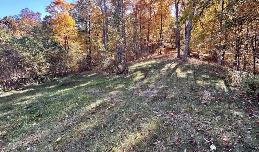 Photo #30 of Off White Rock Gap Rd, Covington, VA 302.9 acres