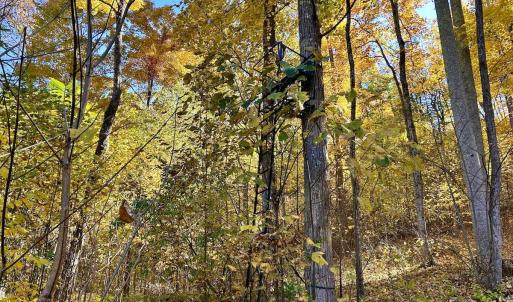 Photo #31 of Off White Rock Gap Rd, Covington, VA 302.9 acres