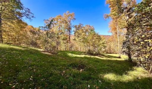 Photo #34 of Off White Rock Gap Rd, Covington, VA 302.9 acres
