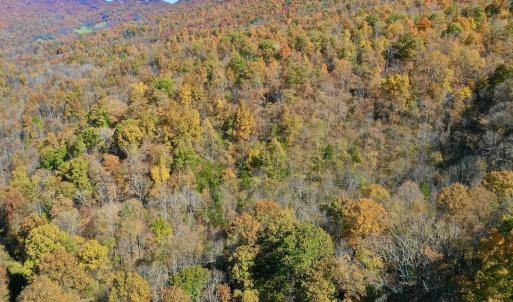 Photo #37 of Off White Rock Gap Rd, Covington, VA 302.9 acres