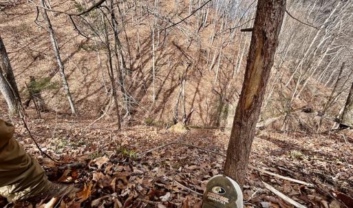 Photo #39 of Off White Rock Gap Rd, Covington, VA 302.9 acres