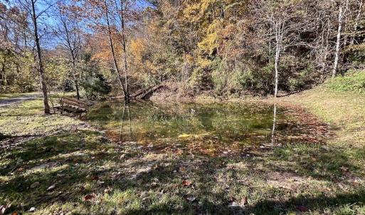 Photo #5 of Off White Rock Gap Rd, Covington, VA 302.9 acres