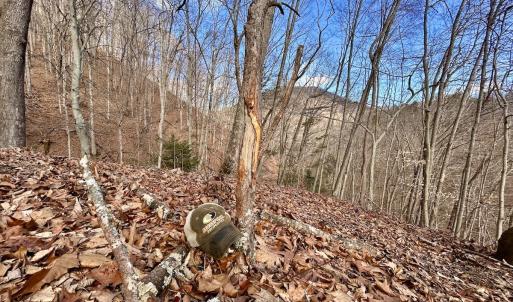 Photo #6 of Off White Rock Gap Rd, Covington, VA 302.9 acres