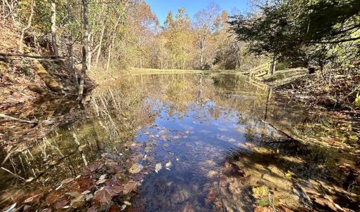 Photo #8 of Off White Rock Gap Rd, Covington, VA 302.9 acres