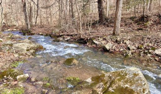 Photo #9 of Off White Rock Gap Rd, Covington, VA 302.9 acres