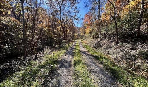 Photo #10 of Off White Rock Gap Rd, Covington, VA 302.9 acres