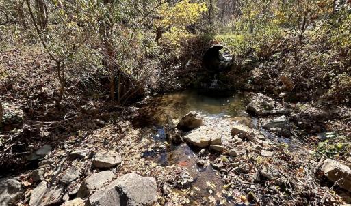 Photo #13 of Off White Rock Gap Rd, Covington, VA 302.9 acres