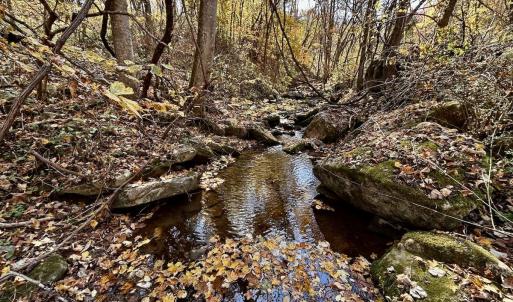 Photo #43 of Off White Rock Gap Rd, Covington, VA 302.9 acres