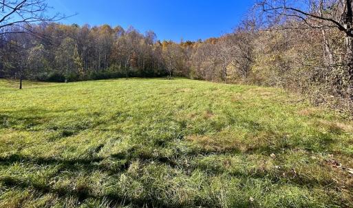 Photo #46 of Off White Rock Gap Rd, Covington, VA 302.9 acres
