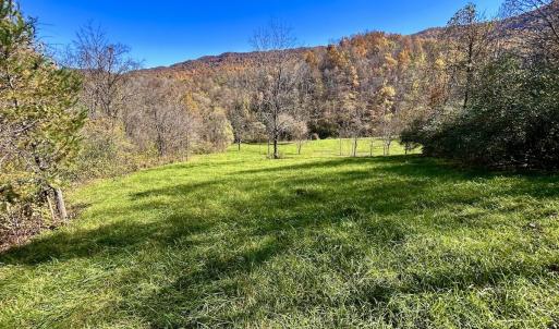 Photo #47 of Off White Rock Gap Rd, Covington, VA 302.9 acres