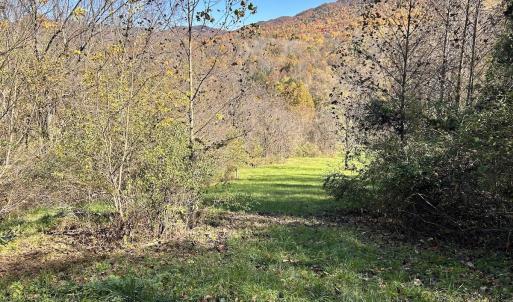 Photo #48 of Off White Rock Gap Rd, Covington, VA 302.9 acres